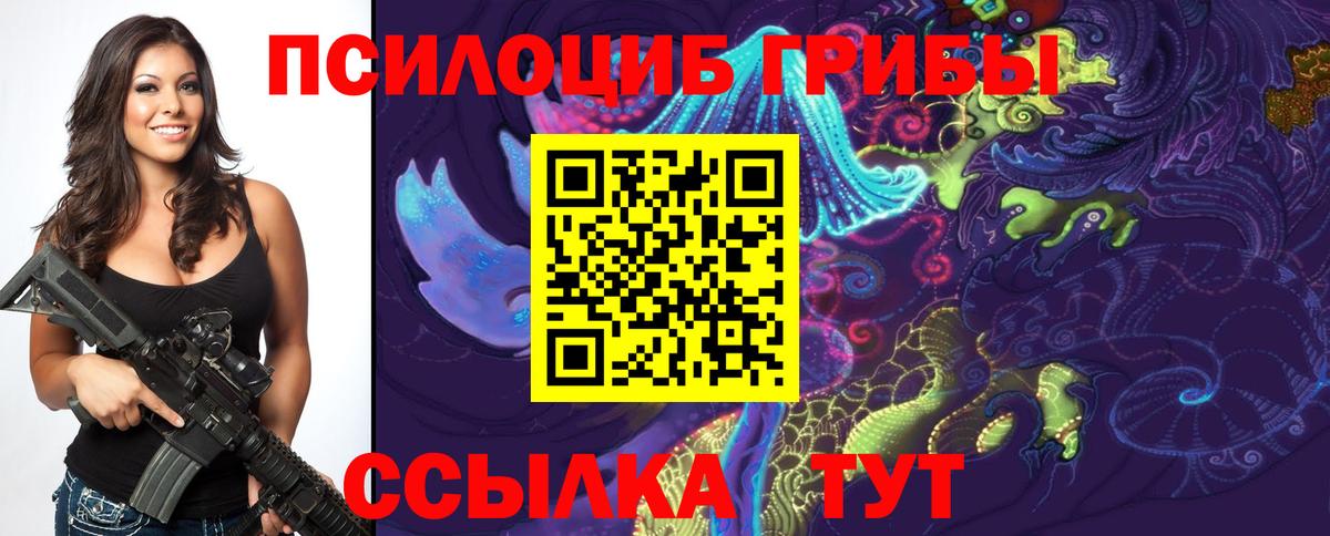 Псилоцибиновые грибы мицелий  Галлюциногенные грибы Cubensis  Красноармейск  Вход с VPN 